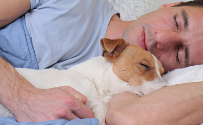 amélioration du sommeil dormir avec son chien